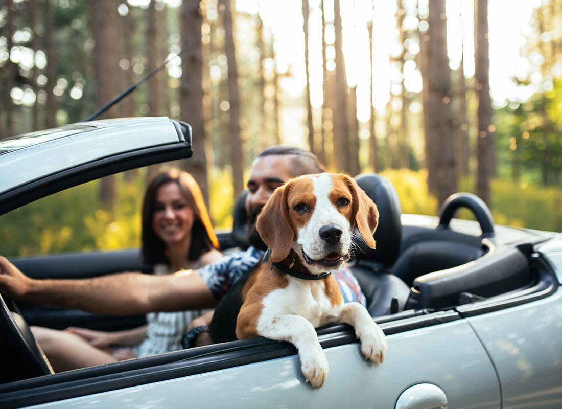 Auto Insurance - Young Couple Enjoying a Drive in Their Convertible With Focus on Happy Dog